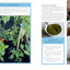 GrowVeg: The Beginner's Guide to Easy Vegetable Gardening