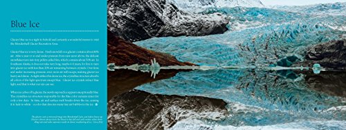 Alaskas Mendenhall Glacier