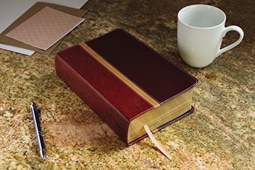 NIV, The Message, Parallel Study Bible, Leathersoft, Brown: Two Bible Versions Together with NIV Study Bible Notes