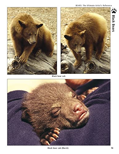 Bear: The Ultimate Artist's Reference (Fox Chapel Publishing) A Comprehensive Collection of 100 Sketches, 150 Photographs, and Reference Material for All North American Bear Species