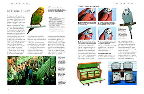 The Complete Practical Guide to Pet and Aviary Birds: How to Keep Pet Birds: with Expert Advice on Buying, Housing, Feeding, Handling, Breeding and Exhibiting