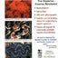 A PocketExpert Guide to Marine Invertebrates: 500+ Essential-to-Know Aquarium Species