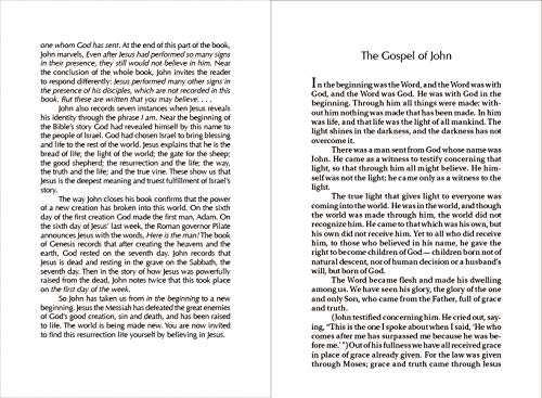Gospel of John: New International Version, Orange Cross, Reader's Edition