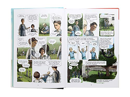 To Kill a Mockingbird: A Graphic Novel