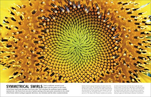 Trees, Leaves, Flowers & Seeds: A Visual Plant Encyclopedia for Kids (DK Our World in Pictures)