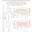 Fashion Sketchbook with Curvy Figure Template: Plus Size Fashion Sketchbook with 10-Head Female Croquis | Curvy Fashion Sketchbook for Womens fashion ... for Fashion Designers or Aspiring Designers