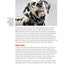 The Midnight Dog Walkers: Positive Training and Practical Advice for Living with Reactive and Aggressive Dogs (CompanionHouse Books) Help Your Dog Recover from Fear and Anxiety, and Enjoy Walks Calmly