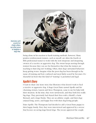 The Midnight Dog Walkers: Positive Training and Practical Advice for Living with Reactive and Aggressive Dogs (CompanionHouse Books) Help Your Dog Recover from Fear and Anxiety, and Enjoy Walks Calmly