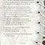 The Paperbark Shoe: A Novel