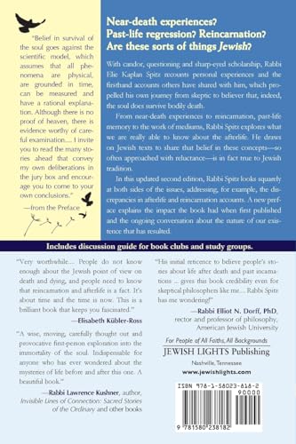 Does the Soul Survive? (2nd Edition): A Jewish Journey to Belief in Afterlife, Past Lives & Living with Purpose