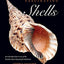 Fascinating Shells: An Introduction to 121 of the World’s Most Wonderful Mollusks
