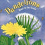 Dandelions: Stars in the Grass