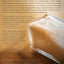 Organic Outreach for Churches: Infusing Evangelistic Passion into Your Congregation
