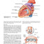 Gray's Basic Anatomy with Student Consult
