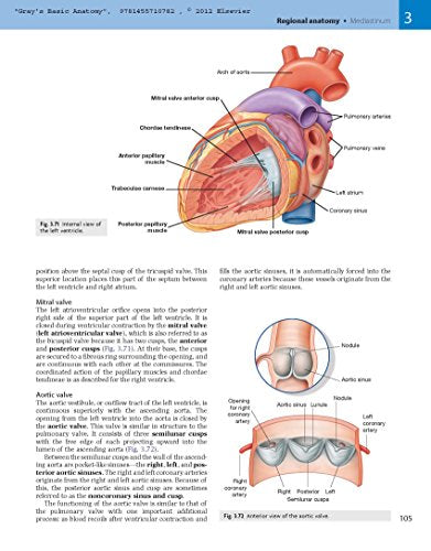 Gray's Basic Anatomy with Student Consult — back cover
