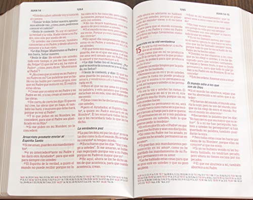 Biblia Peshitta. Tapa dura  Peshitta Bible, Hardcover (Spanish Edition)