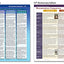 Rose Book of Bible Charts, Maps, and Time Lines by Rose Publ