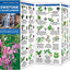 Yellowstone Trees & Wildflowers: A Folding Pocket Guide to Familiar Plants of the Yellowstone Area (Wildlife and Nature Identification)