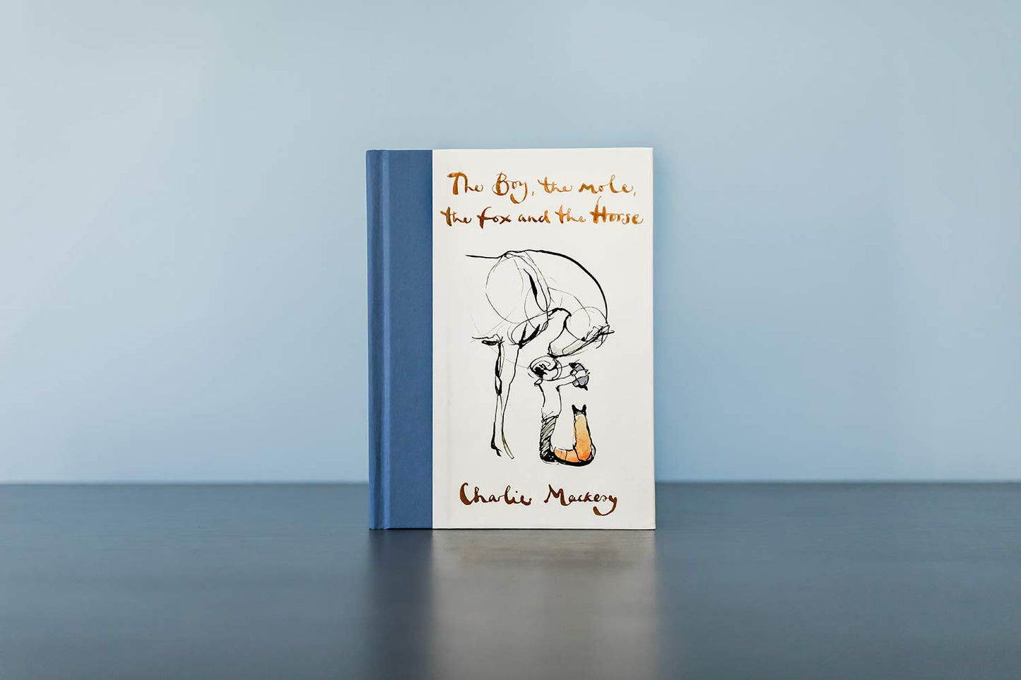 The Boy, the Mole, the Fox and the Horse: Inspiring Conversations