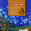 Science: A Closer Look Gr3, Se 2011 (ELEMENTARY SCIENCE CLOSER LOOK)