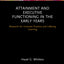 Attainment and Executive Functioning in the Early Years (Routledge Research in Early Childhood Education)