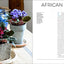 The Indestructible Houseplant: 200 Beautiful Plants that Everyone Can Grow