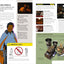 Star Wars How Not to Get Eaten by Ewoks and Other Galactic Survival Skills