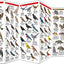 Michigan Wildlife: A Folding Pocket Guide to Familiar Animals (Wildlife and Nature Identification)