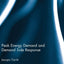 Peak Energy Demand and Demand Side Response (Routledge Explorations in Environmental Studies)
