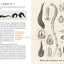 Quackery: A Brief History of the Worst Ways to Cure Everything
