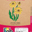 Fun With Wildflowers Stencils (Dover Little Activity Books: Flowers)