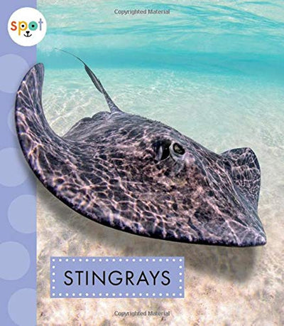 Stingrays (Spot Ocean Animals)