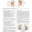 Gray's Basic Anatomy with Student Consult