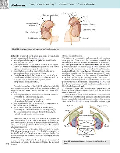 Gray's Basic Anatomy with Student Consult