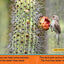 National Geographic Readers: In the Desert (PreReader) (National Geographic Readers, Pre-Reader)
