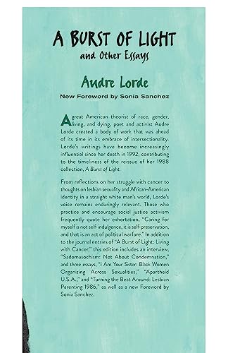 A Burst of Light and Other Essays