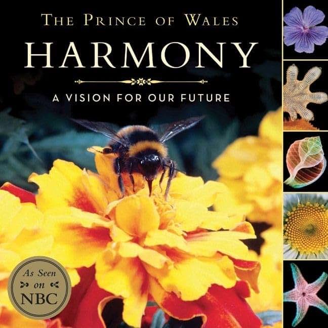 Harmony Childrens Edition: A Vision for Our Future