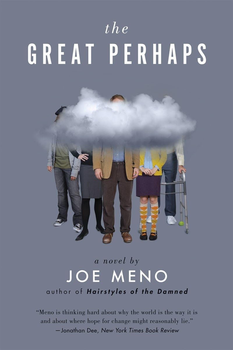 The Great Perhaps: A Novel