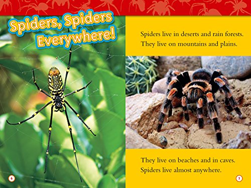 NAT GEO READERS - SPIDERS
