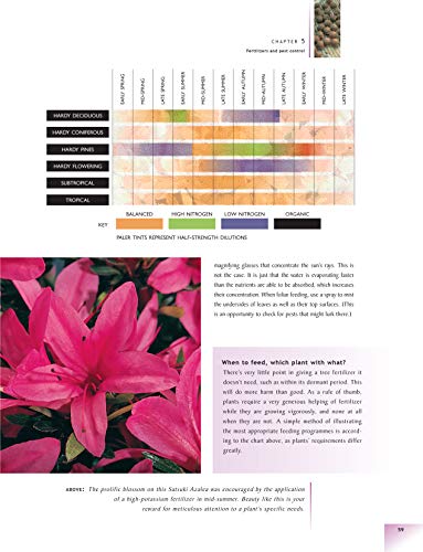 The Bonsai Handbook (IMM Lifestyle Books) The Science and Art of Bonsai from Anatomy to Aesthetics, and How to Grow Your Own, including Pinching, Pruning, Wiring, Holiday Care, and a Photo Gallery