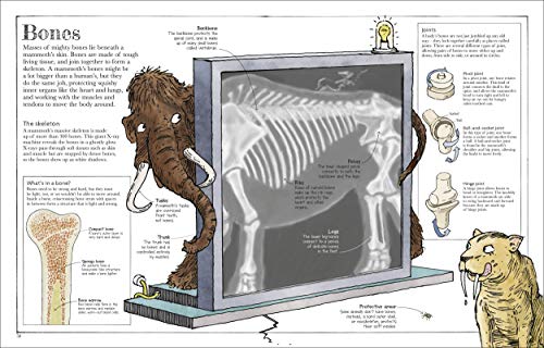 Mammoth Science: The Big Ideas That Explain Our World (DK)