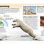 Pocket Genius: Earth: Facts at Your Fingertips
