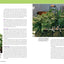 The Complete Houseplant Survival Manual: Essential Know-How for Keeping (Not Killing) More Than 160 Indoor Plants