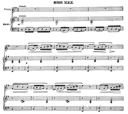 Bel Canto: A Theoretical and Practical Vocal Method (Dover Books On Music: Voice)