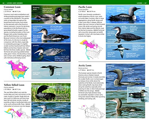 National Wildlife Federation Field Guide to Birds of North America