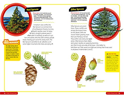Ultimate Explorer Field Guide: Trees
