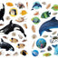 Eyelike Stickers: Ocean