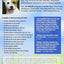Teach Your Dog 100 English Words : The A+ Dog Training Program for Good Manners and Happy Obedience by Michele Welton (2010-05-03)