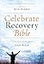 NIV, Celebrate Recovery Bible, Paperback