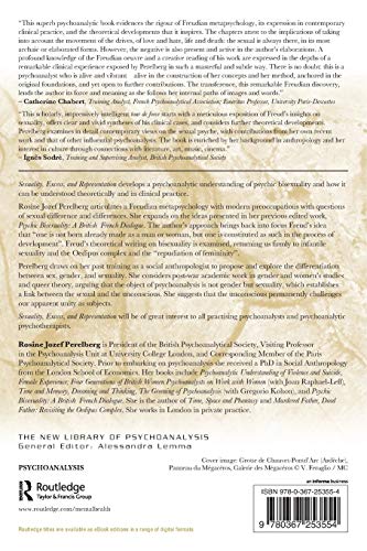 Sexuality, Excess, and Representation: A Psychoanalytic Clinical and Theoretical Perspective (The New Library of Psychoanalysis)